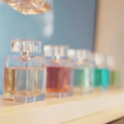 Flora - LIFT+ para Casa Francis Flora - LIFT+ para Casa Francis